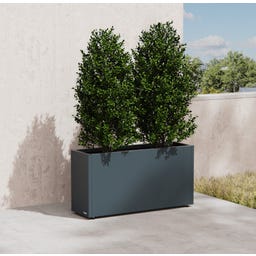 Herstera Pflanzkübel Cube - anthrazit - 100 x 30 x 50 cm