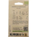 Kokopelli Bio redkvica 