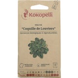 Kokopelli Bio Feldsalat "Coquille de Louviers"