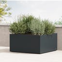 Herstera Pflanzkübel Low Cube