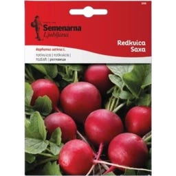 Semenarna Ljubljana Radieschensamen 