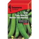 Semenarna Ljubljana Erbsensamen 