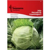 Semenarna Ljubljana Cavolo Bianco - Copenhagen Market 2