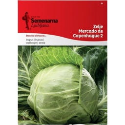 Semenarna Ljubljana Weißkohlsamen 