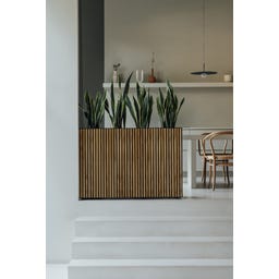 Pflanzkübel Deco Planter Divider L - ohne Zwischenboden
