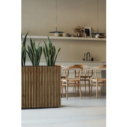 Pflanzkübel Deco Planter Divider L - inkl. Zwischenboden