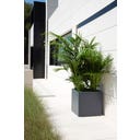 Herstera Pflanzkübel Cube - anthrazit - 50 x 50 x 50 cm