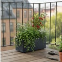 Herstera Pflanzkübel Cube Balkon - anthrazit - 60 x 25 x 25 cm