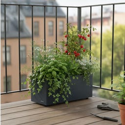 Herstera Pflanzkübel Cube Balkon - anthrazit - 60 x 25 x 25 cm