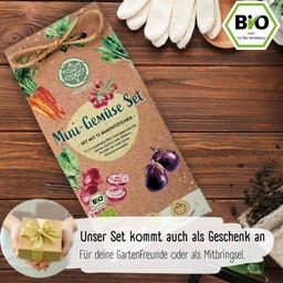LOVEPLANTS Mini-Gemüse-Set - 1 Set