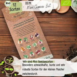 LOVEPLANTS Mini-Gemüse-Set - 1 Set