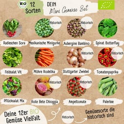 LOVEPLANTS Mini-Gemüse-Set - 1 Set
