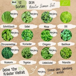 LOVEPLANTS Bio Kräutersamen Set - 1 Set