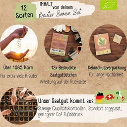 LOVEPLANTS Bio Kräutersamen Set - 1 Set