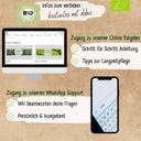 LOVEPLANTS Bio Kräutersamen Set - 1 Set