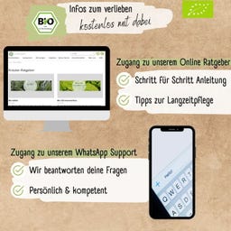 LOVEPLANTS Bio Kräutersamen Set - 1 Set