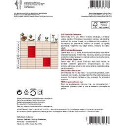 Semenarna Ljubljana Endiviensamen 