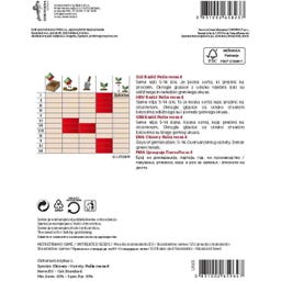 Semenarna Ljubljana Radicchiosamen 