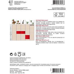 Semenarna Ljubljana Radicchiosamen 