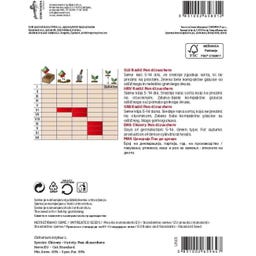 Semenarna Ljubljana Zuckerhutsamen 