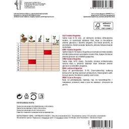 Semenarna Ljubljana Kopfsalatsamen 