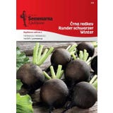 Semenarna Ljubljana Rettichsamen "Runder Schwarzer Winter"
