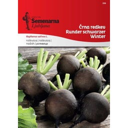 Semenarna Ljubljana Rettichsamen 