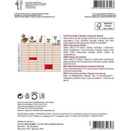 Semenarna Ljubljana Rettichsamen 