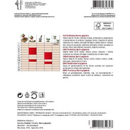 Semenarna Ljubljana Radieschensamen 