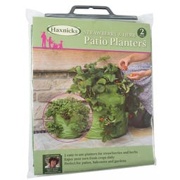 Haxnicks Strawberry and Herb Patio Planters - Set - green