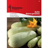 Semenarna Ljubljana Courgettezaden "Bianca goriziana"