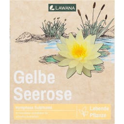LAWANA Ninfea Natura - Coco 