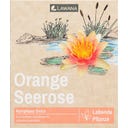 Lawana Nymphaea Natura Coco 