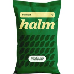 Halm Grass Seed for Reseeding - 1 kg