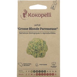 Bio hlávkový salát „Grosse Blonde Paresseuse“
