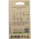 Bio hlávkový salát „Grosse Blonde Paresseuse“