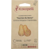 Kokopelli Courge Musqu&eacute;e Bio "Sucrine du Berry"