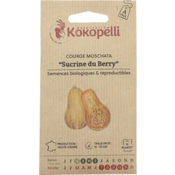 Kokopelli Bio tykev muškátová 