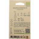 Kokopelli Bio tykev muškátová 