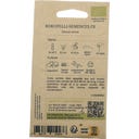 Kokopelli Bio červená mrkev 