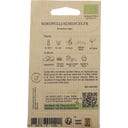 Kokopelli Navet Blanc Bio 