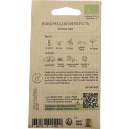 Kokopelli Navet Blanc Bio 