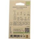 Kokopelli Bio rukola divoká