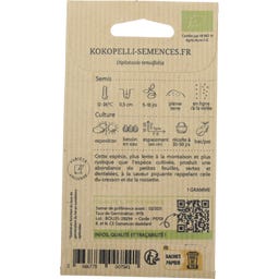 Kokopelli Bio rukola divoká