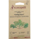 Kokopelli Bio Gr&uuml;nkohl "Sibirischer Gulag Stars"