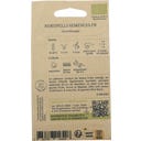 Kokopelli Bio tykev obecná 