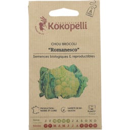 Kokopelli Brocoli Bio 