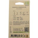 Kokopelli Brocoli Bio 