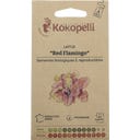 Kokopelli Bio římský salát 