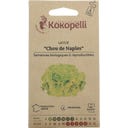 Kokopelli Bio salát batavia 